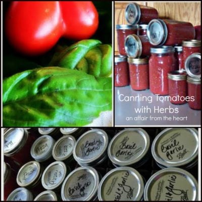 Canning Tomato Sauces