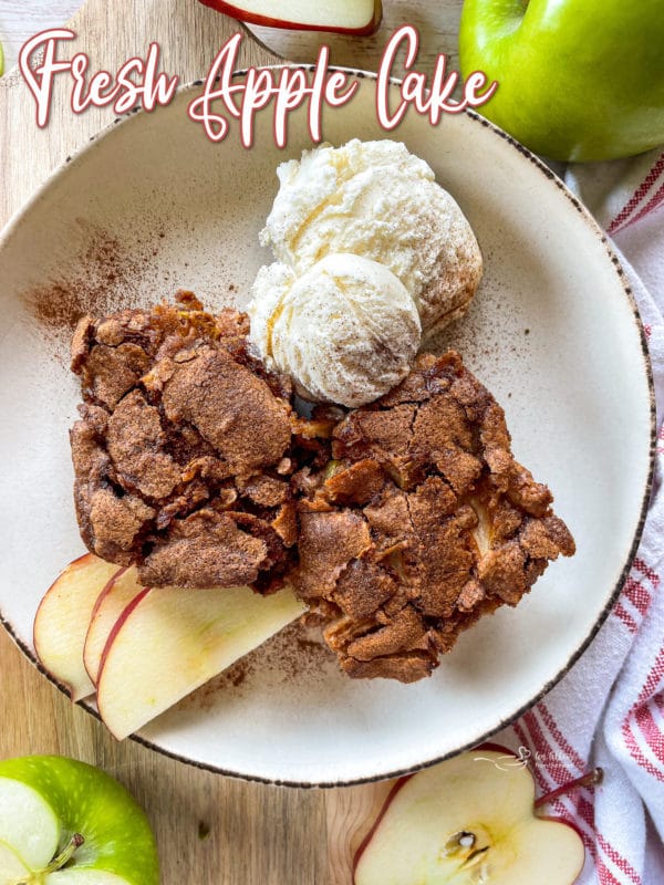 apple cake in white bowl with ice cream and sliced apples