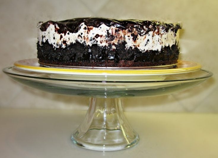 Side view of cookies and cream ice cream cake on a cake stand