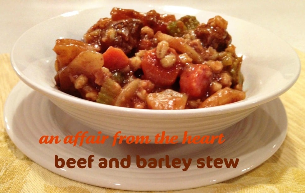 Close up of Beef and Barley stew in a white bowl