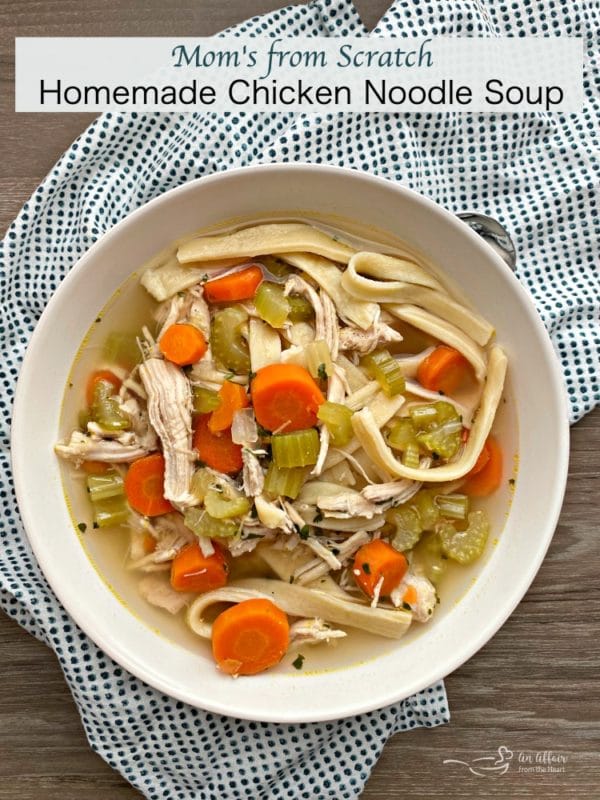 https://anaffairfromtheheart.com/wp-content/uploads/2012/02/Moms-from-Scratch-Chicken-Noodle-Soup-HERO-600x800.jpg