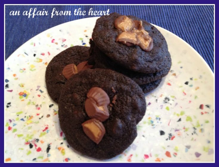 several Double chocolate peanut butter cookies on a funfetti plate