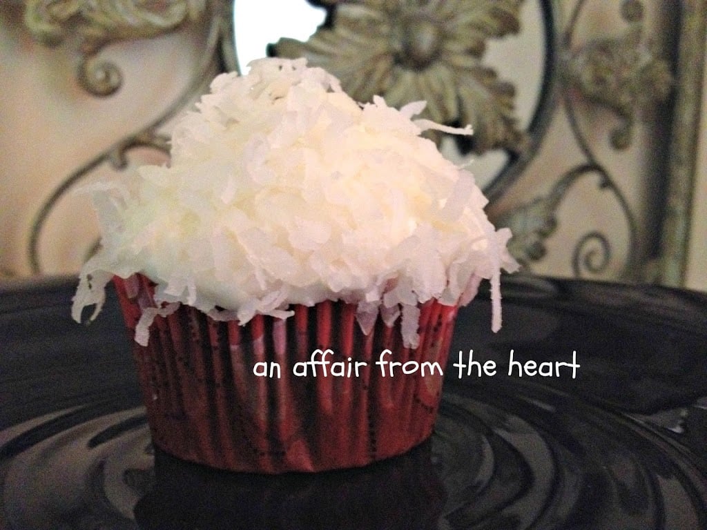 Close up of chocolate coconut cupcake