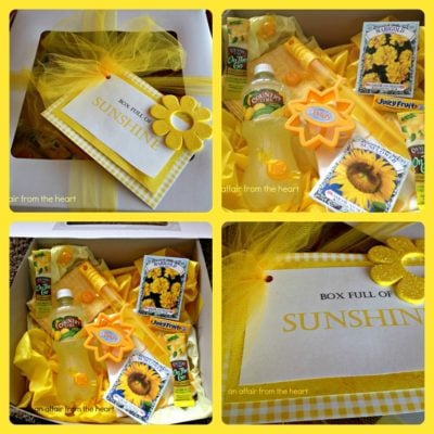 Brighten Someone’s Day with a Box Full of Sunshine!!