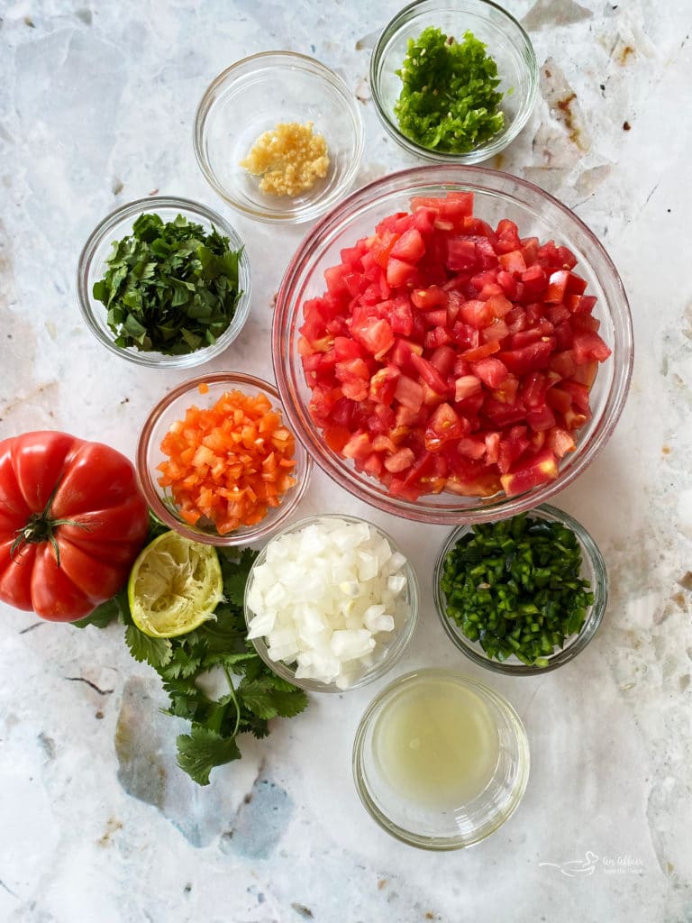 Fresh Homemade PICO de GALLO Recipe - the best you'll ever have!