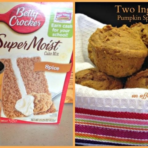 Two Ingredient Pumpkin Spice Muffins-image