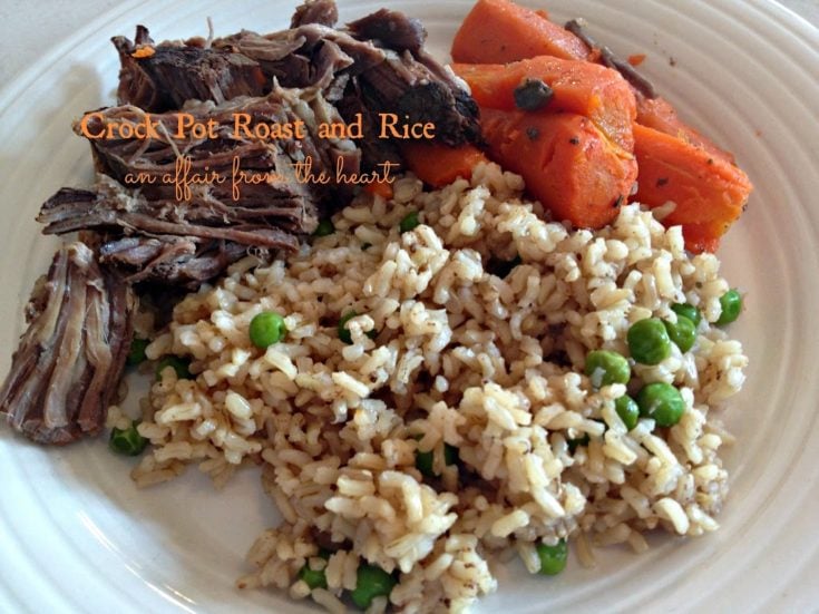 Roast, rice and carrots on a white plate