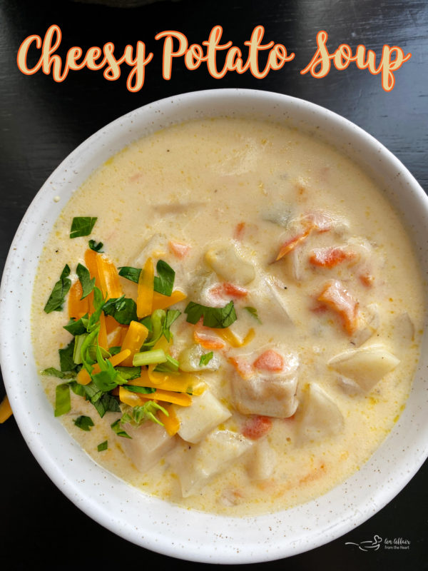 Top view of cheesy potato soup in white bowl