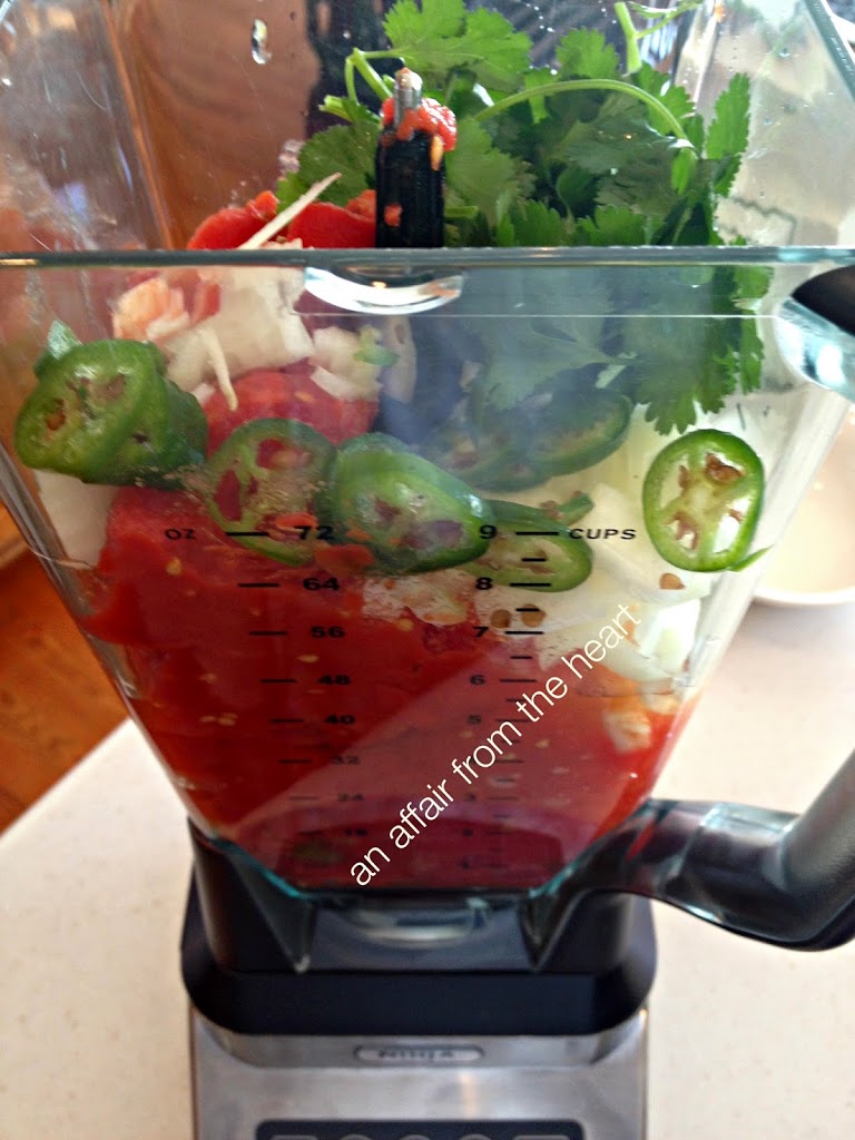 Easy to make Dump Salsa - Dump it in the blender and you're done!