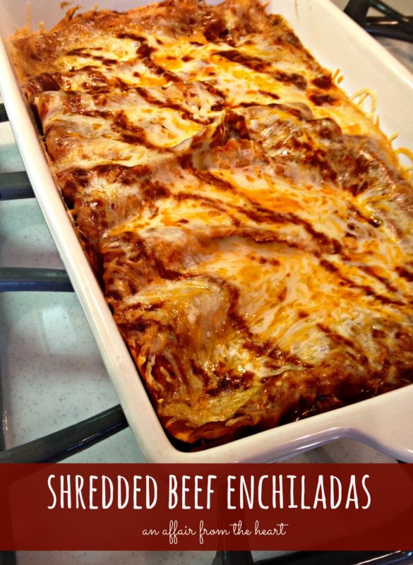 Shredded Beef Enchiladas