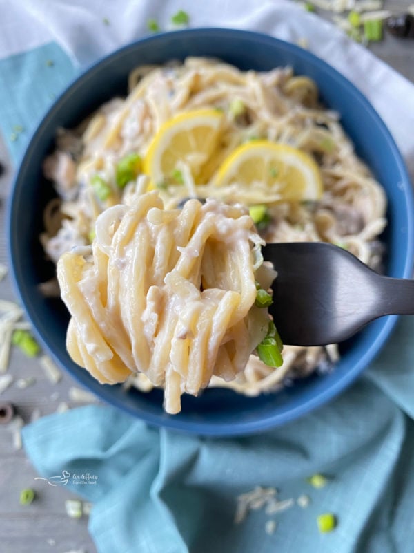 tuna spaghetti wrapped around fork over bowl