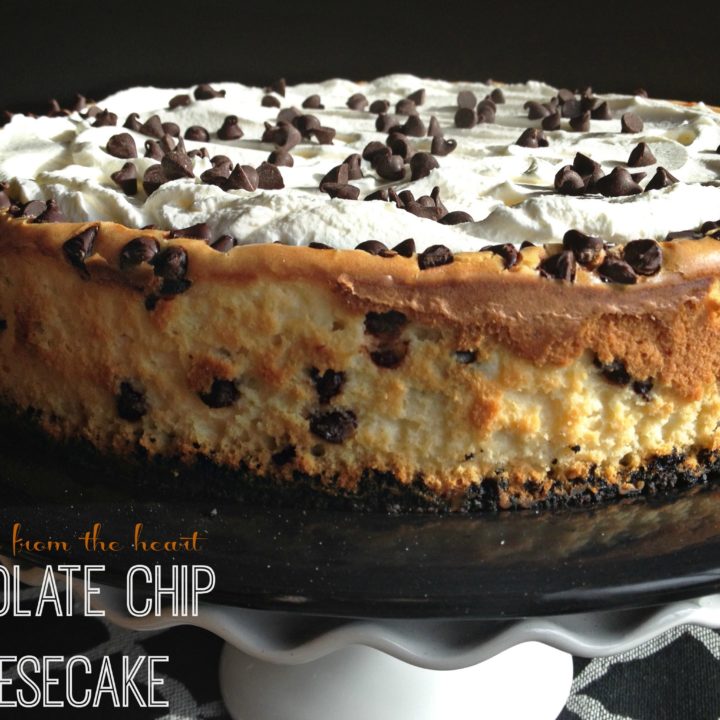 Chocolate Chocolate Chip Cheesecake - Recipe Girl