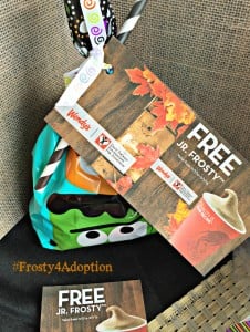 Frosty4adoption