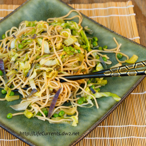 Chow Mein Noodles - Life Currents