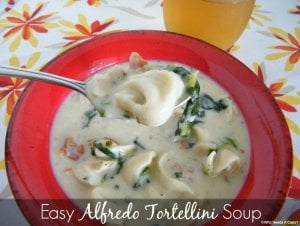 Easy Alfredo Tortellini Soup - Who Needs a Cape