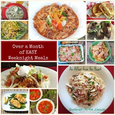 Over a Month’s Worth of EASY Weeknight Recipes