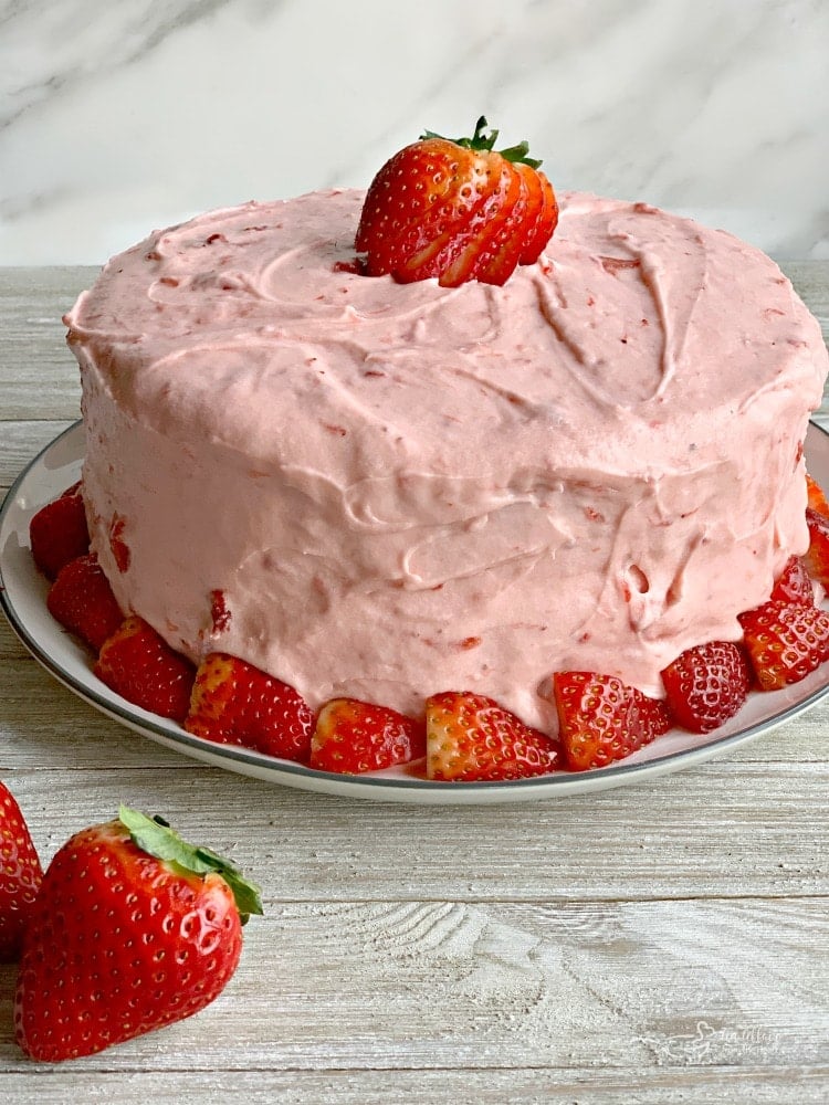 Decadent and Delicious Chocolate Strawberry Nutella Cake - Cake by Courtney