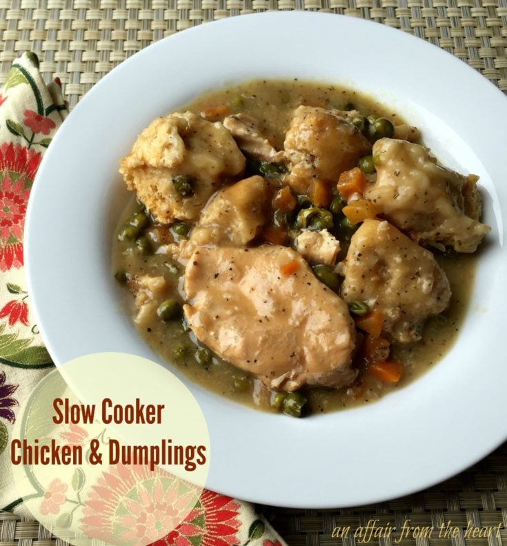 Slow Cooker Chicken and Dumplings in a white bowl
