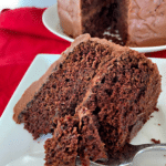 The BEST Sauerkraut Chocolate Cake slice on a white plate