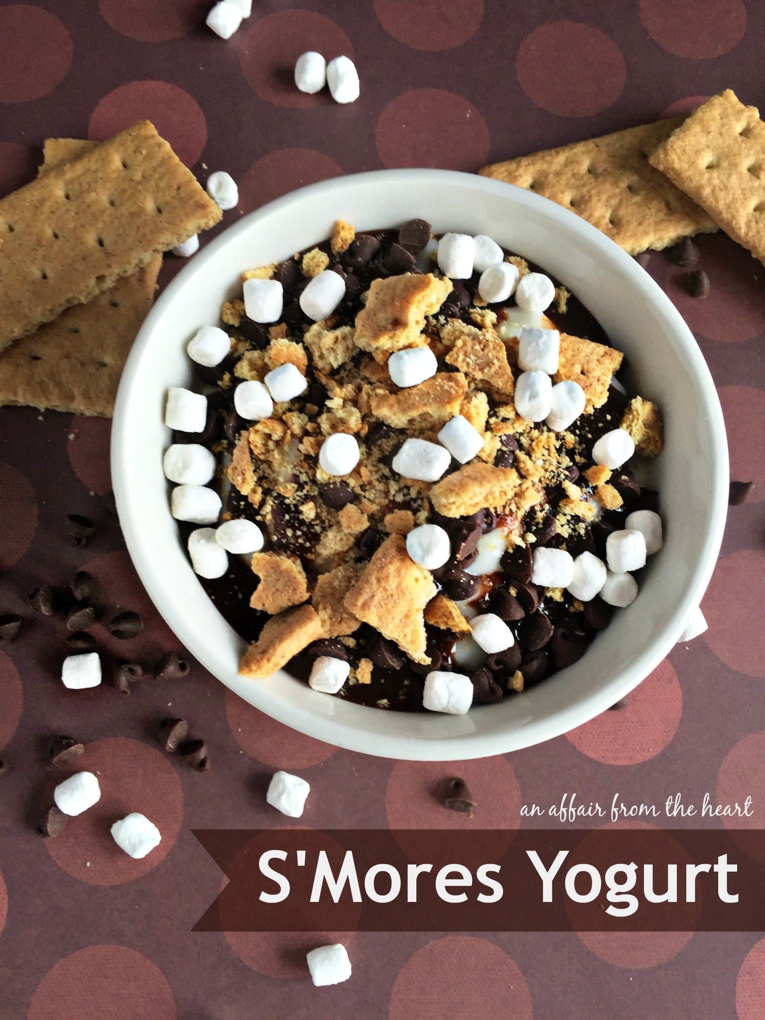 S’Mores Yogurt – Two Ways