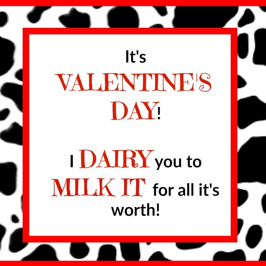 Valentine Milk Jug
