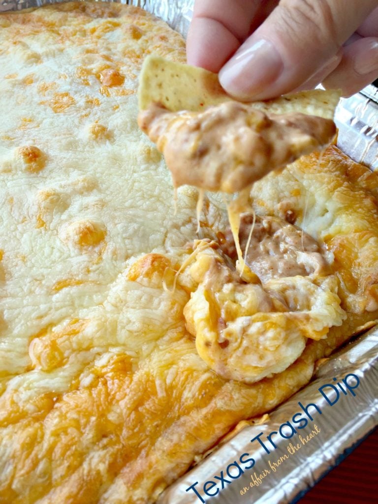 Texas Trash Dip on a chip