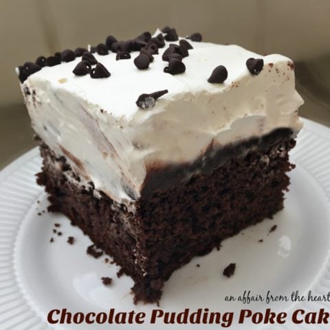 Chocolate Pudding Poke Cake