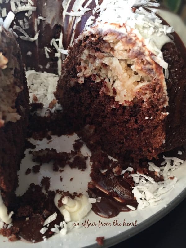 Chocolate Macaroon Tunnel Cake