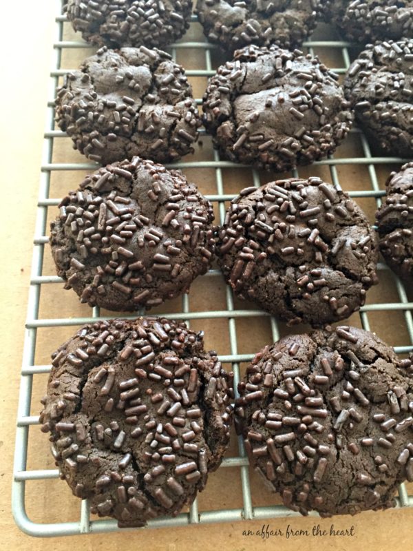 Dark Chocolate Molasses Cookies