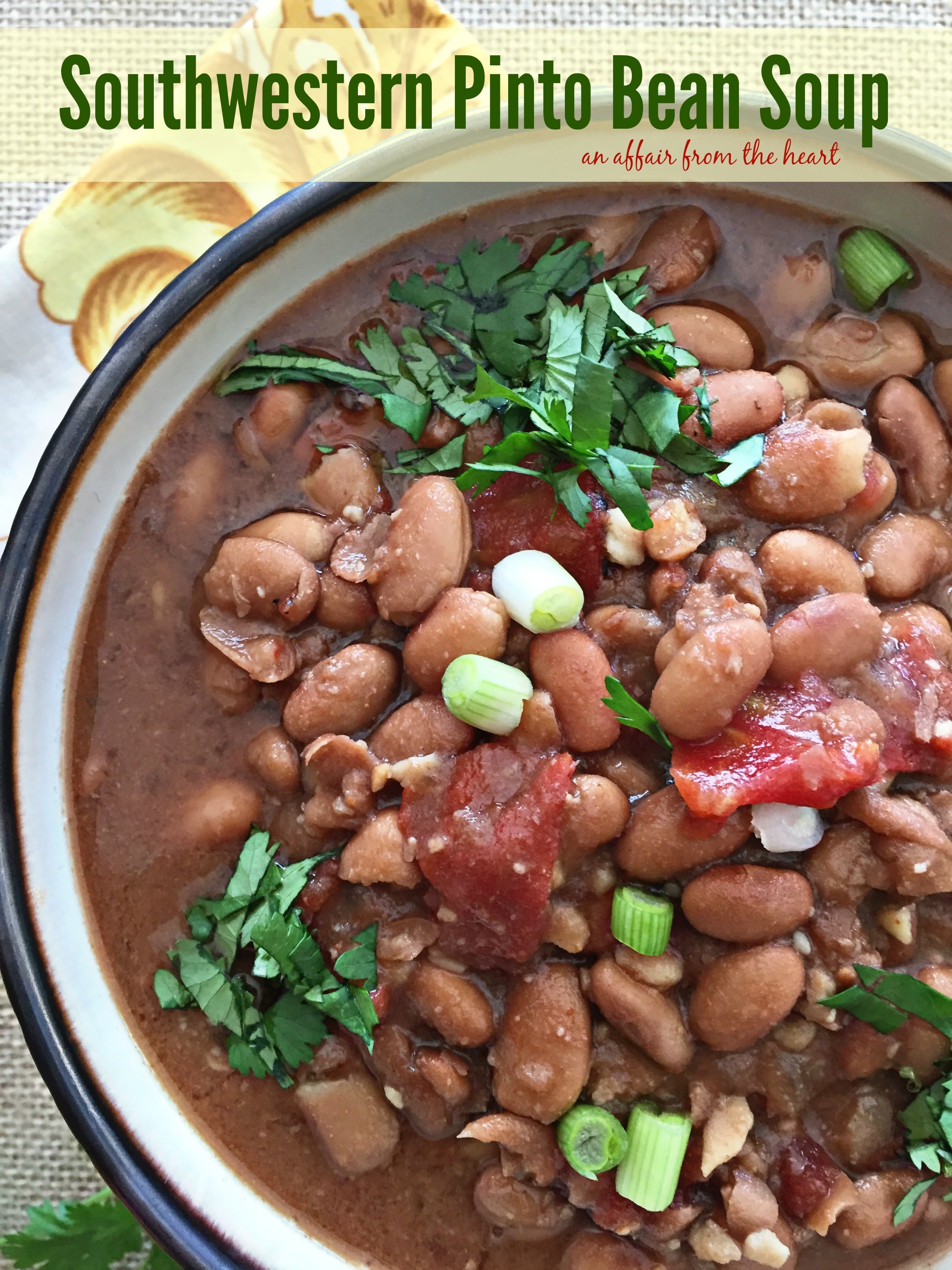 Southwestern Pinto Bean Soup