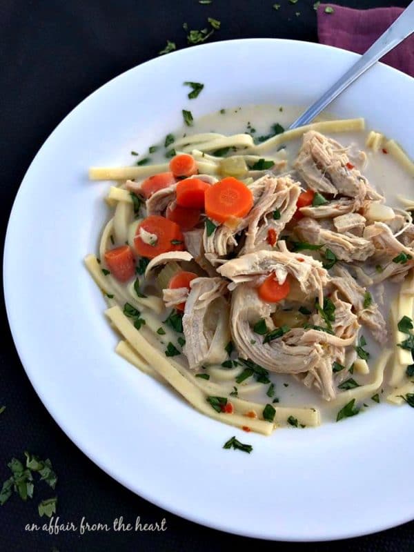 Spicy Chicken Noodle Soup