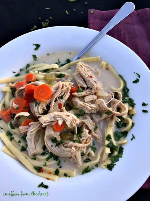 Spicy Chicken Noodle Soup