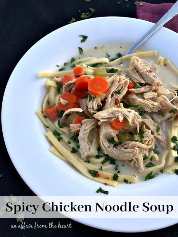 Spicy Chicken Noodle Soup