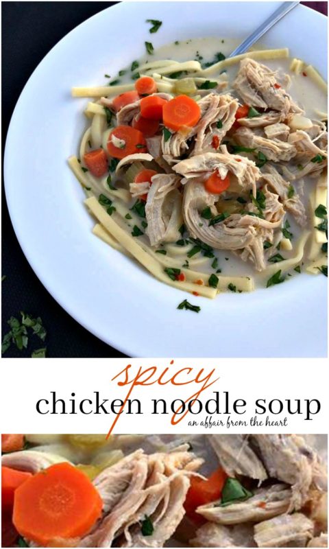 Spicy Chicken Noodle Soup - An Affair from the Heart