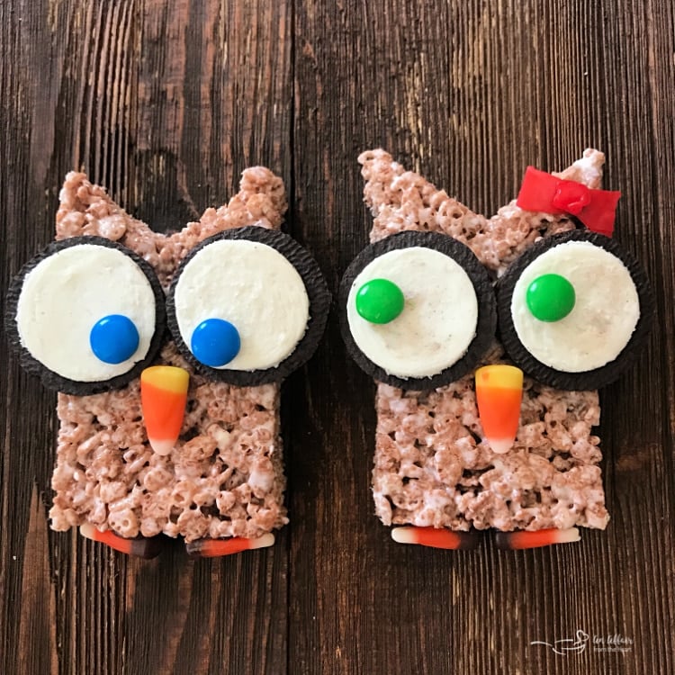 Cocoa Krispy Owls