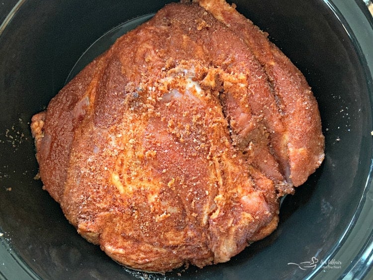 Crock Pot Pulled Pork with Dorothy Lynch Cole Slaw