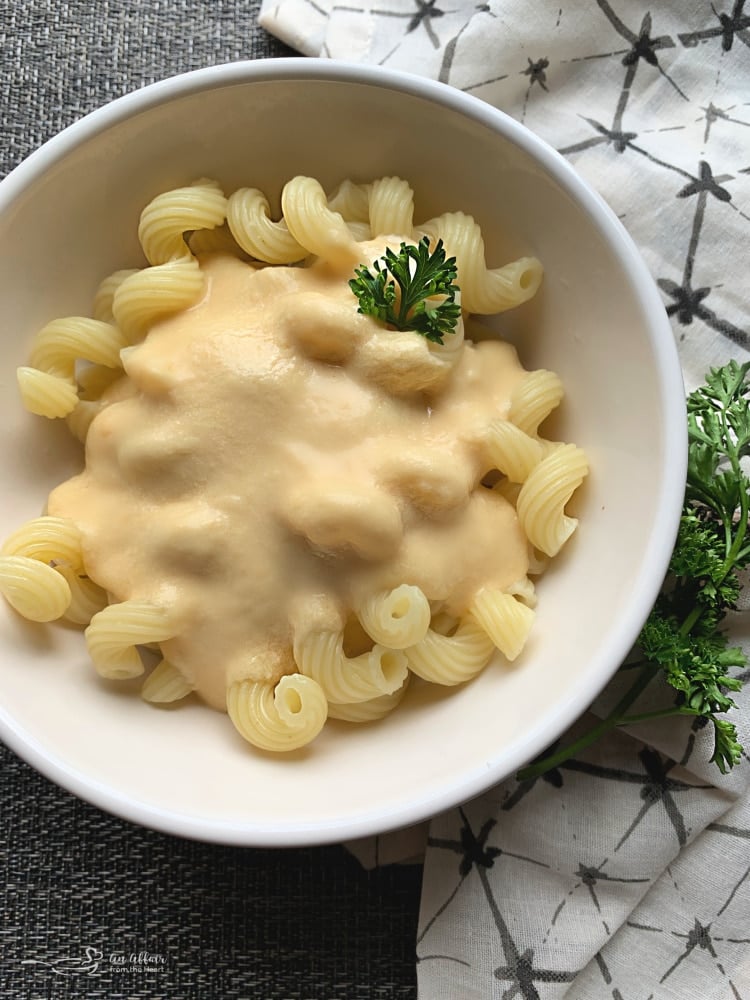 Beer Cheese Pasta Sauce A Spaghetti Works Copycat Recipe