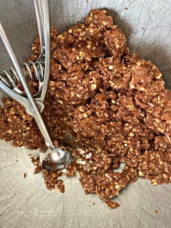 Chocolate Oatmeal Coconut Cookies batter