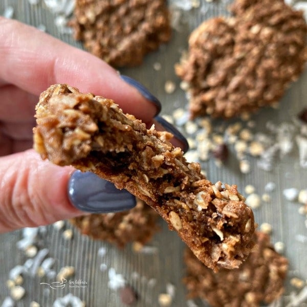 Chocolate Oatmeal Coconut Cookies close up