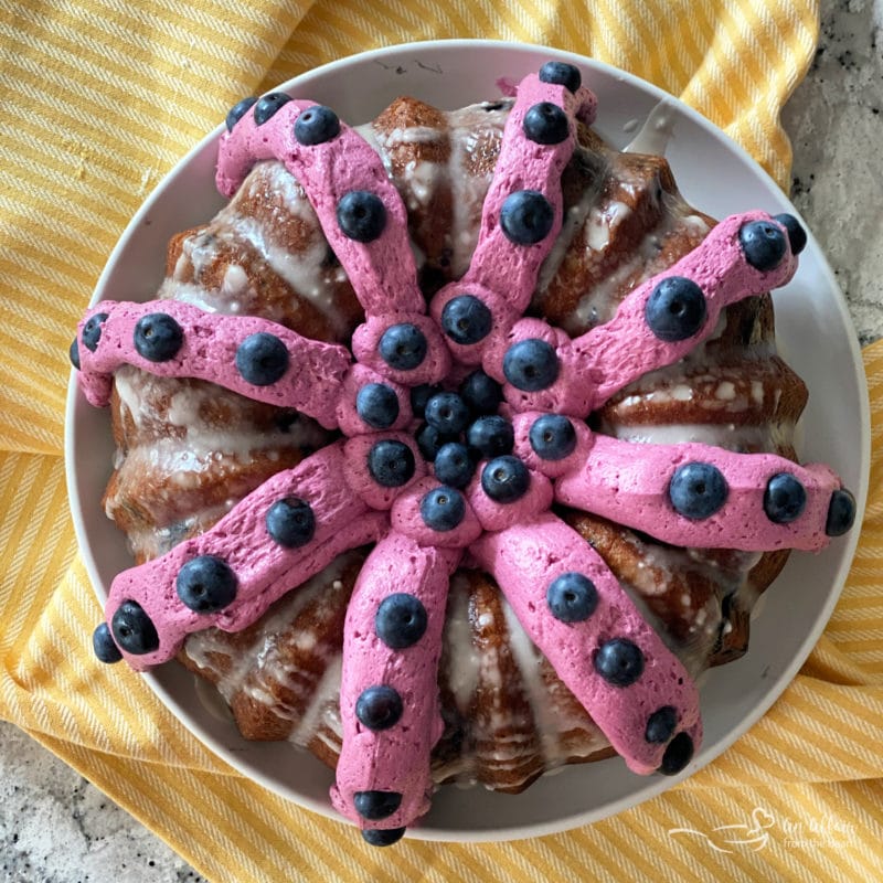 Best Lemon Blueberry Bundt Cake – Eye Doc Bakes