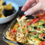 Dorothy's Hot Taco Dip with blue corn chip dipping