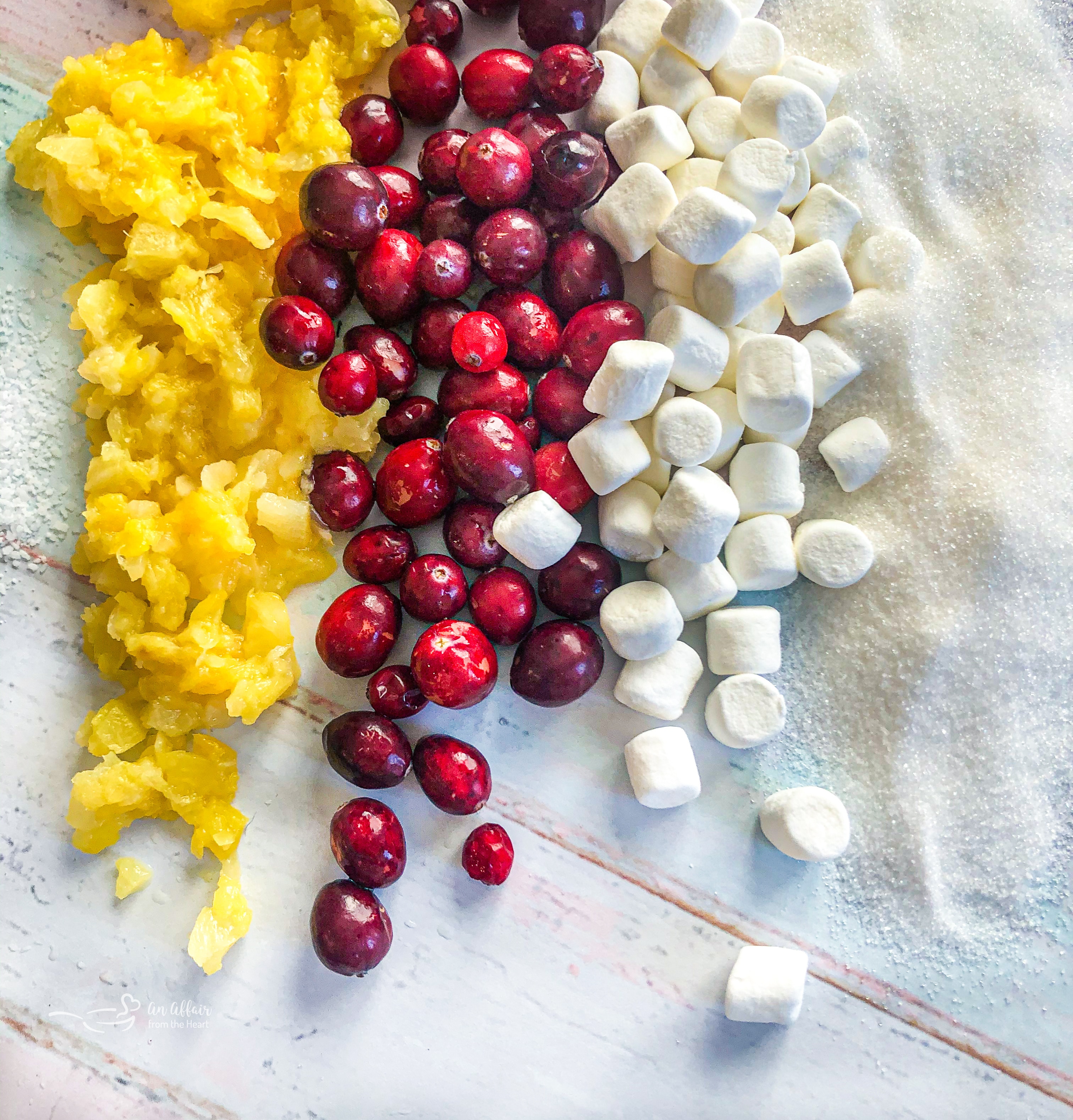 Cranberry & Marshmallow Garland — LifeCreated