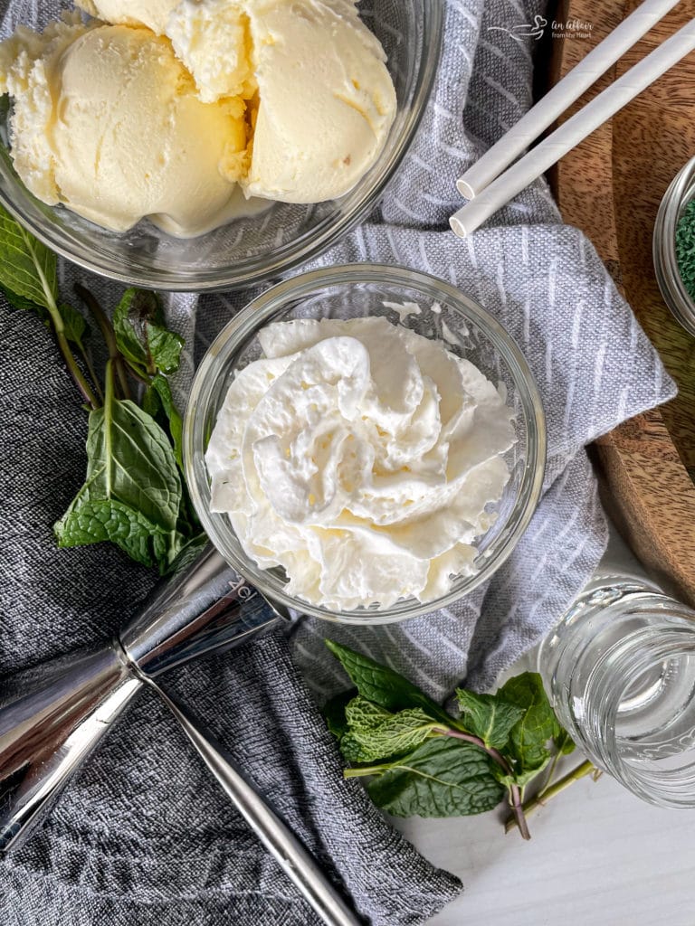 The BEST Cocktail Boozy Chocolate Mint Ice Cream Drink