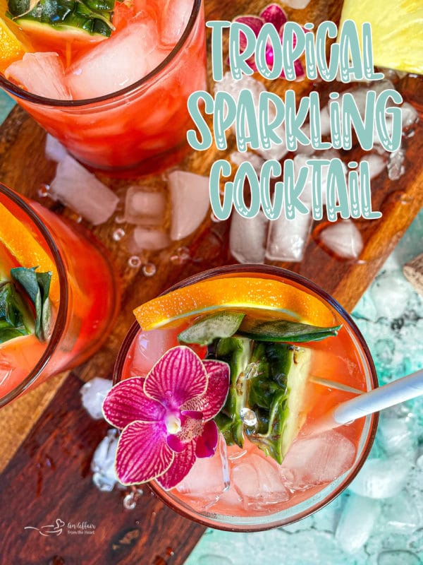 https://anaffairfromtheheart.com/wp-content/uploads/2021/01/Tropical-Sparkling-Cocktail-9-600x800.jpg