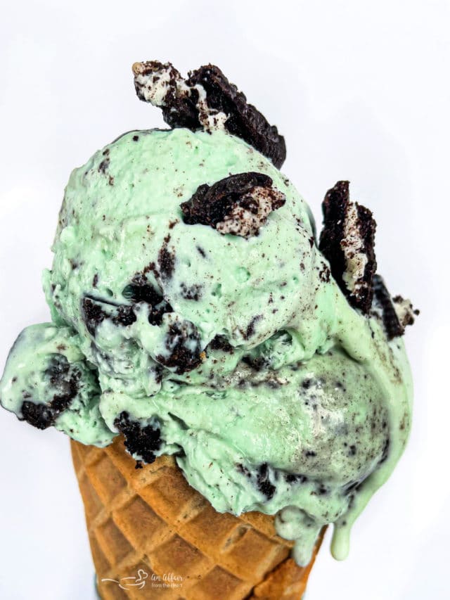 cropped-Grasshopper-Pie-Ice-Cream-in-cone-scaled-2.jpg