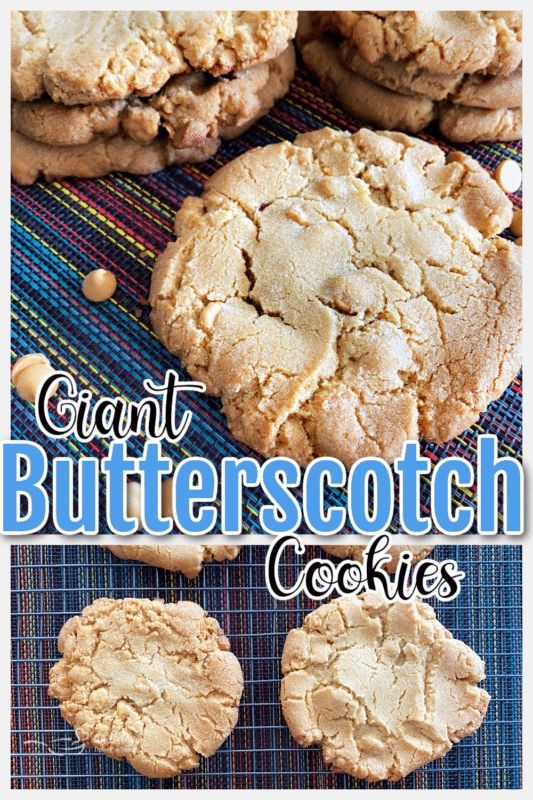 graphic for butterscotch cookies