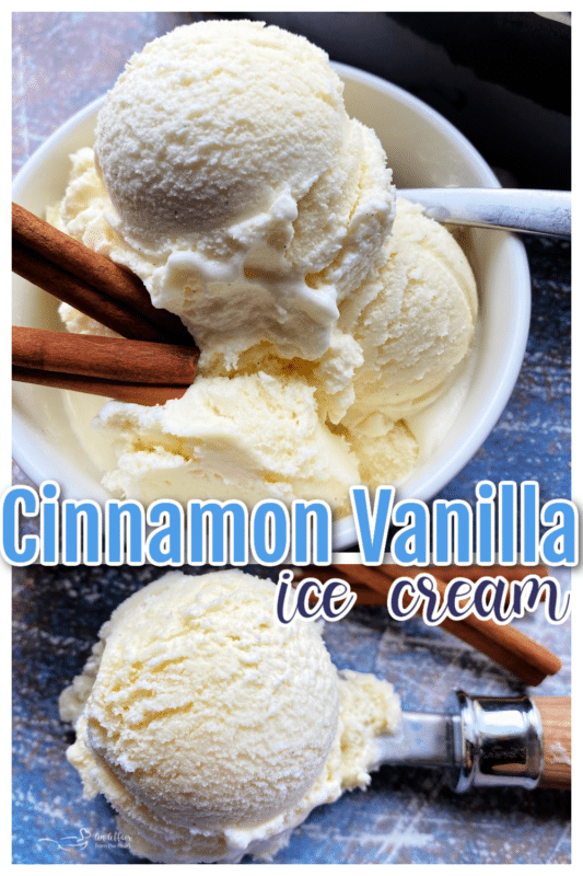 homemade cinnamon vanilla ice cream dessert