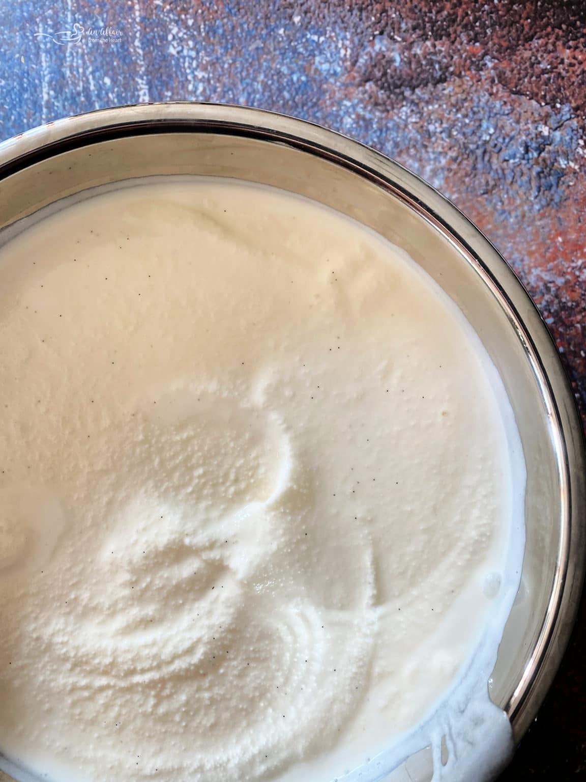 Homemade Cinnamon Vanilla Ice Cream An Affair from the Heart