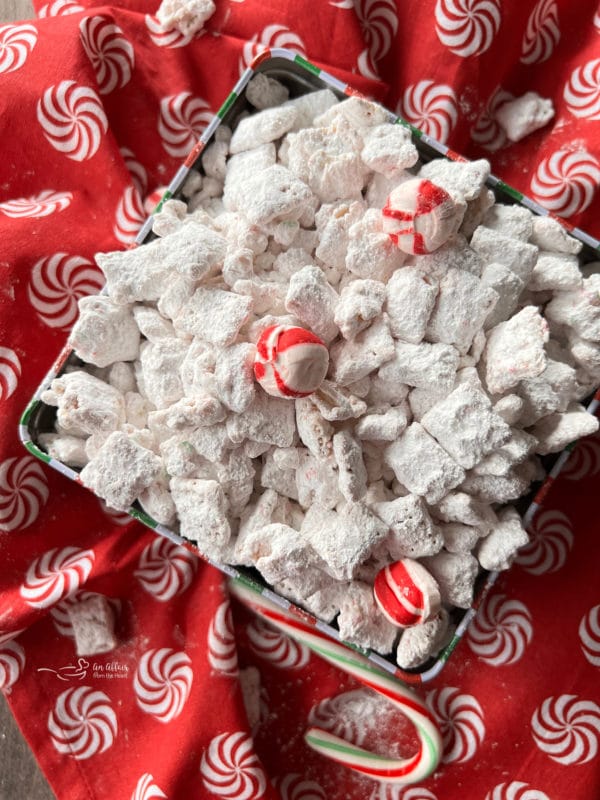 puppy chow in box with peppermint
