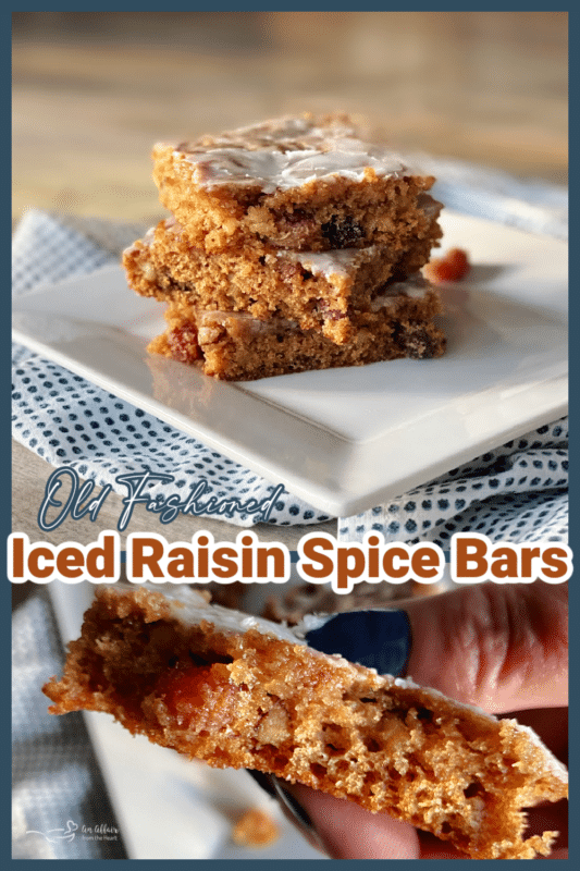 Old Fashioned Iced Raisin Spice Bars